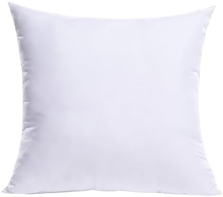 MIULEE 21x21 Inch Throw Pillow Insert for Couch Sofa Bed by MIULEE