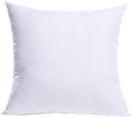 MIULEE 22x22 Inch Throw Pillow Insert for Couch Sofa Bed by MIULEE
