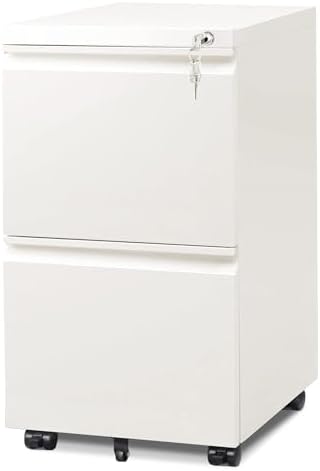 DEVAISE 2 Drawer File Cabinet with Lock for Home Office, Fully Assembled by DEVAISE