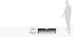 Casio Casiotone CT-S300 Touch-Sensitive Portable Keyboard | 400 Tones - Image 6