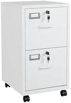 BYNSOE 2 Drawers File Cabinet with Lock Metal Vertical File Cabient with Wheels Mobile File Cabinet for Office Home Legal/Letter/a4 Size Require Assembly by BYNSOE