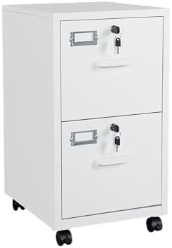 BYNSOE 2 Drawers File Cabinet with Lock Metal Vertical File Cabient with Wheels Mobile File Cabinet for Office Home Legal/Letter/a4 Size Require Assembly by BYNSOE