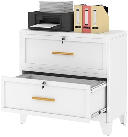 Ckzbx Metal 2 Drawers Locker Storage Organizer, 33.46" H White Drawer Chest, Closet Organizers for Living Room, Hallway, Closet by Ckzbx