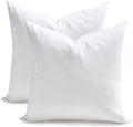TOPGREEN Feather Down Throw Pillow Inserts 18 x 18, Set of 2, 100% Organic Cotton Shell, Soft Decorative Square Pillows Insert for Living Room Sofa, Couch, or Bed (White) by TOPGREEN
