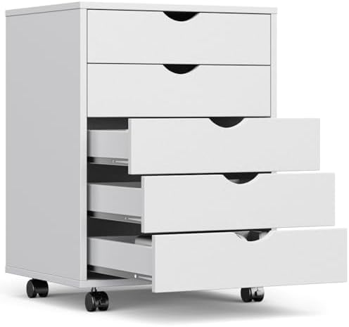 OLIXIS 5 Drawer File Cabinet on Wheels, Printer Stand by OLIXIS