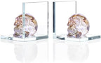 Glass Skull Book Ends for Shelves with Golden Crystal Skulls by Ornalrist