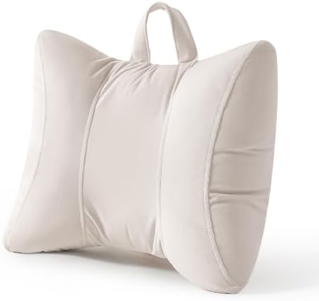 Lumbar Support Pillow for Office Chair and Car Seat, Misty White by Ailuteie