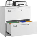 Letaya 2 Drawer File Cabinet with Lock,Metal Lateral Filing Cabinet for Home Office,Hanging Letter/Legal/A4 Size (White, H27.95×W28.35×D15.74) by LetayaMetalCabinets