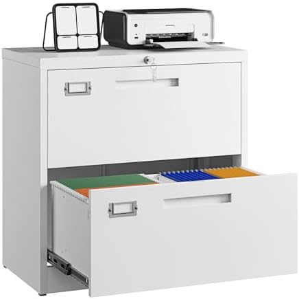 Letaya 2 Drawer File Cabinet with Lock,Metal Lateral Filing Cabinet for Home Office,Hanging Letter/Legal/A4 Size (White, H27.95×W28.35×D15.74) by LetayaMetalCabinets