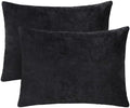 1 MIDDLE ONE 2 Pack Small Pillow, 16 X 12 Inches, Memory Foam Mini Pillow for Travel, Camping, Sleeping, Nap and Neck, Knee, Lumbar Support, Tiny Cushion for Pet, Dogs (Black) by 1MIDDLEONE