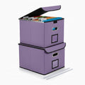 CADONO File Organizer Box with Lid (Light Purple, 14.9 x 12.59 x 10.8 inch, 2-Pack) by CADONO
