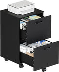 DUMOS 2 Drawer Storage Cabinet, Rolling Under Desk Storage, Black by DumosLifestyle