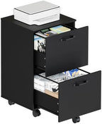 DUMOS 2 Drawer Storage Cabinet, Rolling Under Desk Storage, Black by DumosLifestyle