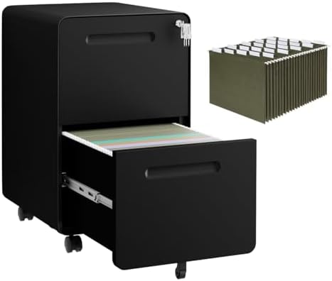 2 Drawer Mobile File Cabinet with Lock, 4 Keys and 25 Letter File Folders by LVSTEEL