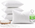 TOPGREEN Ogranic Feather Down Lumbar Pillow Insert 12x20, Pack of 4, White by TOPGREEN