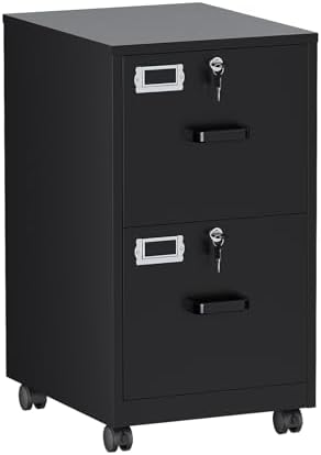 BYNSOE 2 Drawers File Cabinet with Lock Metal Vertical File Cabient with Wheels Mobile File Cabinet for Office Home Legal/Letter/a4 Size Require Assembly by BYNSOE