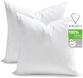 TOPGREEN Ogranic Feathers Down Euro Pillow Inserts 28x28, Pack of 2, White by TOPGREEN