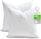 TOPGREEN Ogranic Feathers Down Euro Pillow Inserts 28x28, Pack of 2, White by TOPGREEN
