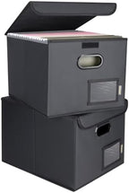 BALEINE File Organizer Box with Lid, Collapsible Hanging File Storage Box by BALEINE