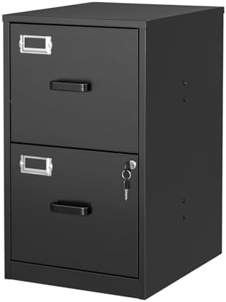 BYNSOE 2 Drawer File Cabinet with Lock Vertical Filing Storage Cabinet Office Home Steel Vertical File Cabinets for Letter Size File Cabinet Locked,Assembly Required by BYNSOE