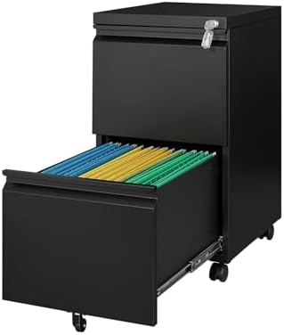 Fesbos 2 Drawers Vertical File Cabinet - Fully Assembled Black Under Desk Mobile Filling Cabinet Small Lockable Home Office File Cabinets for A4/Letter/Legal Size by Fesbos