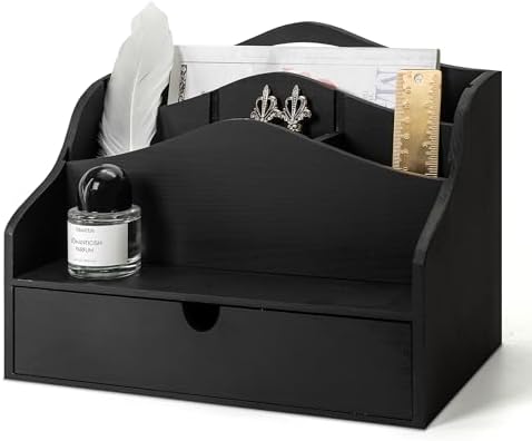 Rebee Vision Mail Organizer for Desk with Dividers for Store Jewelry, Black by REBEEVISION