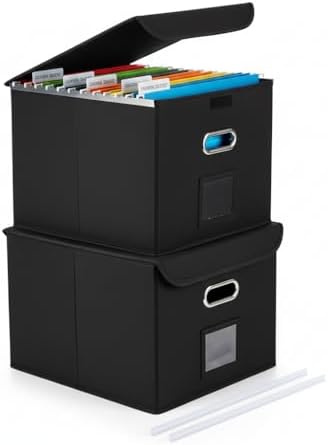File Organizer Box with Lid (Black, 14.9 x 12.59 x 10.8 inch, 2-Pack) by CADONO