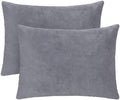 1 MIDDLE ONE 2 Pack Small Pillow, 16 X 12 Inches, Memory Foam Mini Pillow for Travel, Camping, Sleeping, Nap and Neck, Knee, Lumbar Support, Tiny Cushion for Pet, Dogs (Grey) by 1MIDDLEONE