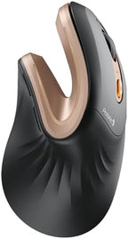 ProtoArc EM11 NL Wireless Ergonomic Mouse, Rechargeable, Black Gold by ProtoArc