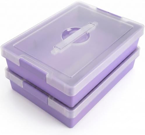 2-Pack Craft Organizers and Storage Box with Removable Tray, Portable Project Case with Handle and Lid, 2-Tier Art Supply Organizer, Document File Box for A4 Paper, Scrapbook, 5-Quart by Mickiewicz