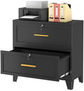 Ckzbx Metal 2 Drawers Locker Storage Organizer,33.46" H Balck Drawer Chest, Closet Organizers for Living Room, Hallway, Closet by Ckzbx
