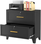 Ckzbx Metal 2 Drawers Locker Storage Organizer,33.46" H Balck Drawer Chest, Closet Organizers for Living Room, Hallway, Closet by Ckzbx