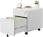 2 Drawer Mobile Low Profile File Cabinet with Lock and 4 Keys by LVSTEEL