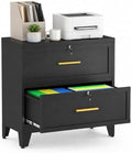 2 Drawer File Cabinet with Lock, Small Filing Cabinet for Home Office by Unknown