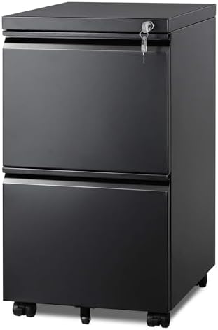 DEVAISE 2 Drawer Metal File Cabinet, Fully Assembled Filing Cabinet by DEVAISE