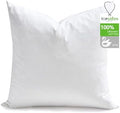 TOPGREEN Organic Feathers Down Euro Pillow Inserts 30x30, White by TOPGREEN