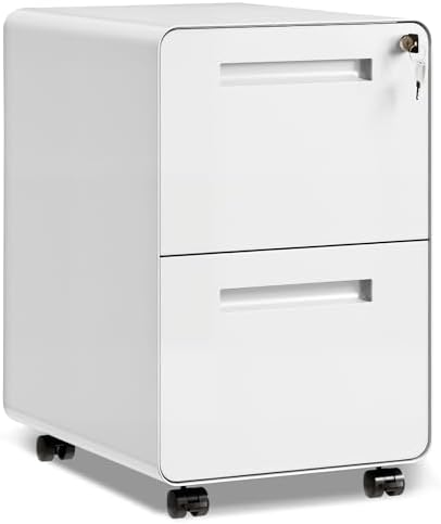 DEVAISE 2 Drawer File Cabinet with Lock, Fully Assembled Except Casters by DEVAISE