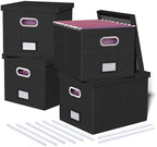 4 Pack File Storage Organizer, Document Organizer, Portable File Box with Lid, Fit for Letter/Legal File Folder Storage,Black-Box only by Oterri