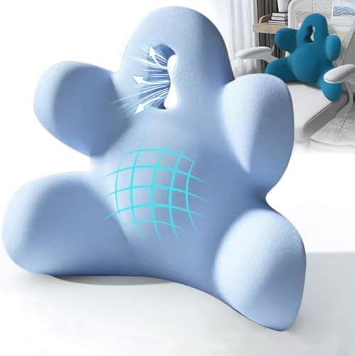Lumbar Support Pillow for Office Chair, Back Support Pillow for Car, Chair by Sothuba