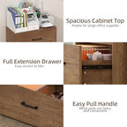 2 Drawer Filing Cabinets, Wood Lateral File Cabinet for Home Office, Modern Farmhouse File Cabinets with Hanging Rail for Letter Size, Large Wooden Storage Cabinets, Brown - Image 6