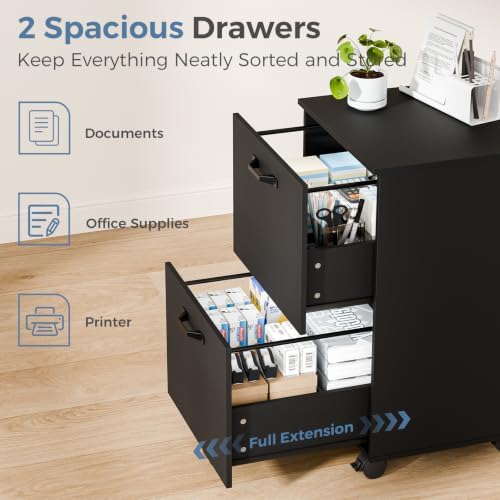 DUMOS 2 Drawer Storage Cabinet, Rolling Under Desk Storage, Black - Image 5