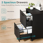 OLIXIS 2 Drawer Storage Cabinet, Rolling Under Desk Storage, Black - Image 5