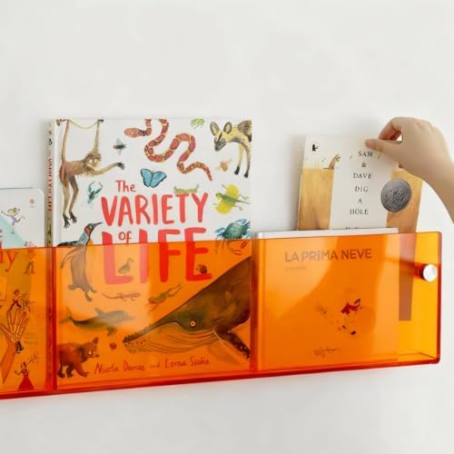 ROYALITA 2-Pack Acrylic Magazine Holder Brochure Holder, Orange 36 Inch - Image 2