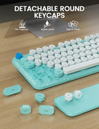 Wireless Keyboard and Mouse Combo, Typewriter Keyboard, Magnetic Wrist Rest - Image 6