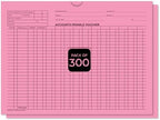 Accounts Payable Voucher Envelopes General Accounting Style, Pink 300 Pack by Unknown