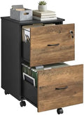 VASAGLE 2-Drawer File Cabinet, Small Rolling, Locking, Printer Stand by VASAGLEbySONGMICSHOME