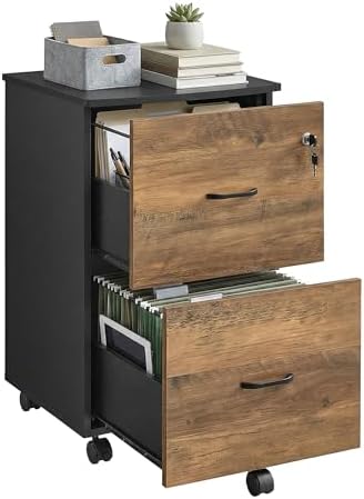 VASAGLE 2-Drawer File Cabinet, Small Rolling, Locking, Printer Stand by VASAGLEbySONGMICSHOME
