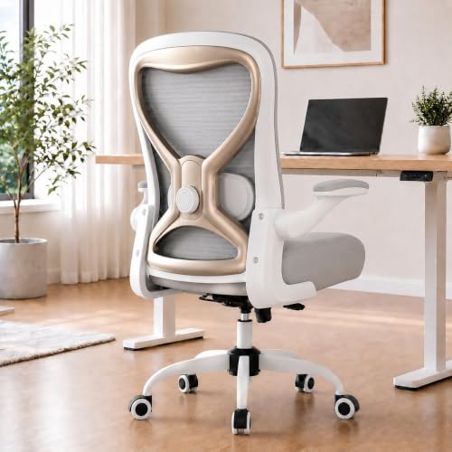 Ergonomic Home Office Chair, 4-Way Lumbar, Thick Cushion, 330LBS (Gray/Champagne) by casasio