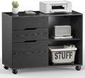 DUMOS File Cabinet with 3 Drawers, Wood Under Desk Storage Printer Stand by DumosLifestyle