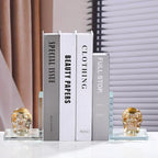 Glass Skull Book Ends for Shelves with Golden Crystal Skulls - Image 6